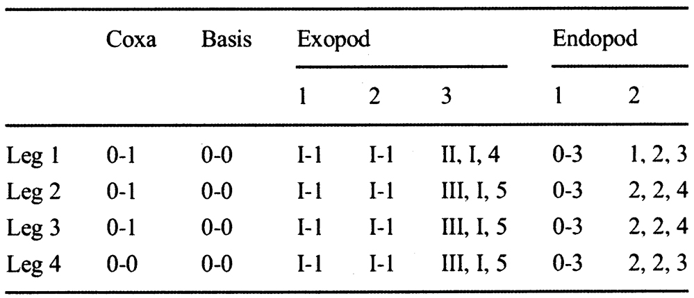 Espce Calanopia tulina - Planche 4 de figures morphologiques