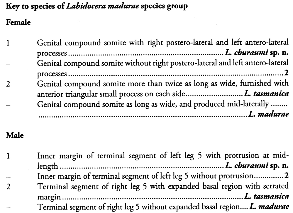 Genre Labidocera - Planche 6