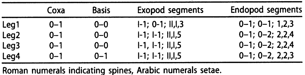 Espce Pseudodiaptomus malayalus - Planche 5 de figures morphologiques