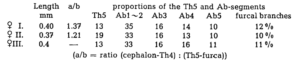 Espce Oithona brevicornis - Planche 35 de figures morphologiques