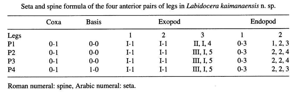 Espce Labidocera kaimanaensis - Planche 4 de figures morphologiques