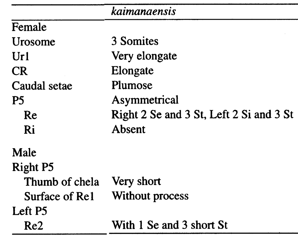 Espce Labidocera kaimanaensis - Planche 6 de figures morphologiques
