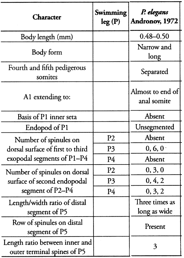 Espce Parvocalanus elegans - Planche 8 de figures morphologiques
