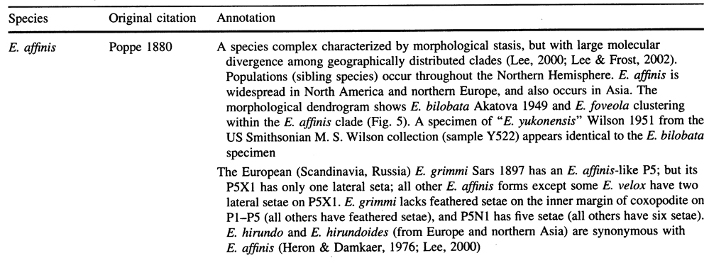 Species Eurytemora affinis - Plate 22 of morphological figures