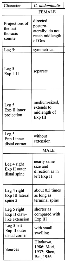Espce Centropages abdominalis - Planche 11 de figures morphologiques