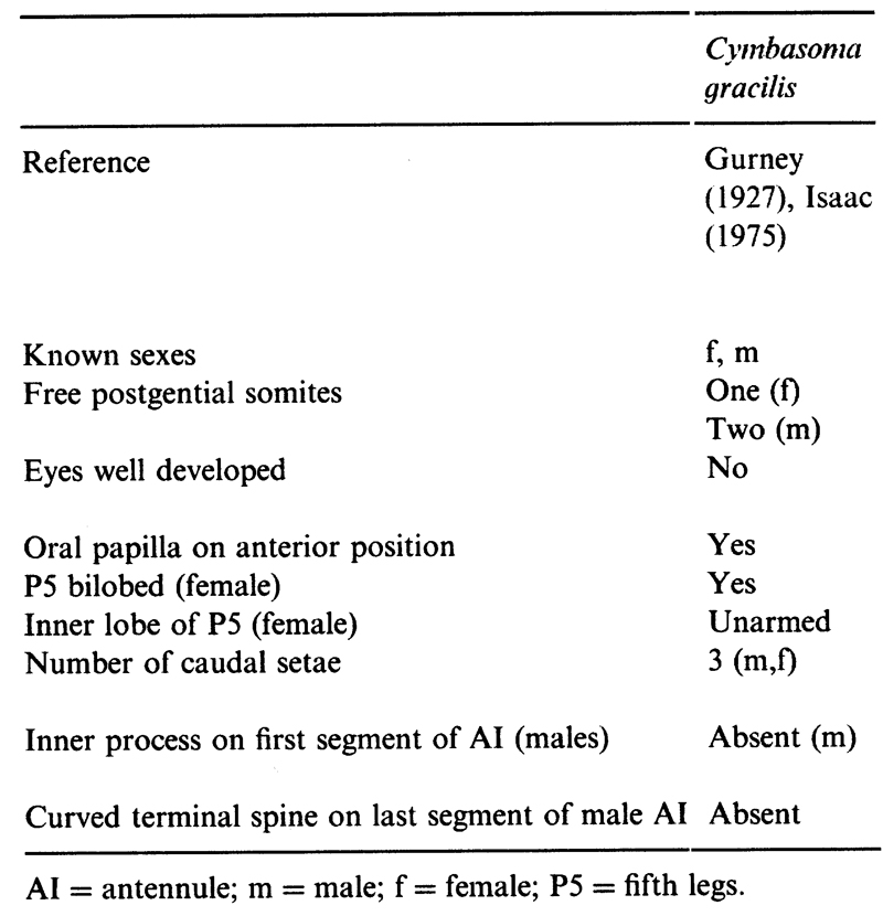 Espèce Cymbasoma gracile - Planche 3 de figures morphologiques