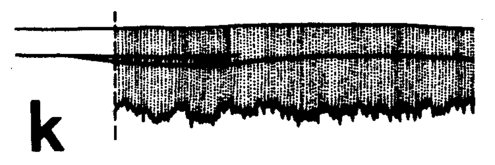 Espce Euchirella venusta - Planche 19 de figures morphologiques