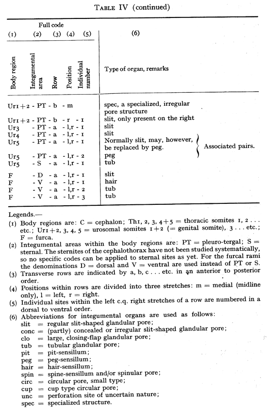 Espce Euchirella messinensis - Planche 80 de figures morphologiques