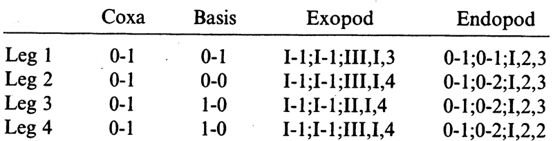 Espèce Expansophria sarda - Planche 3 de figures morphologiques