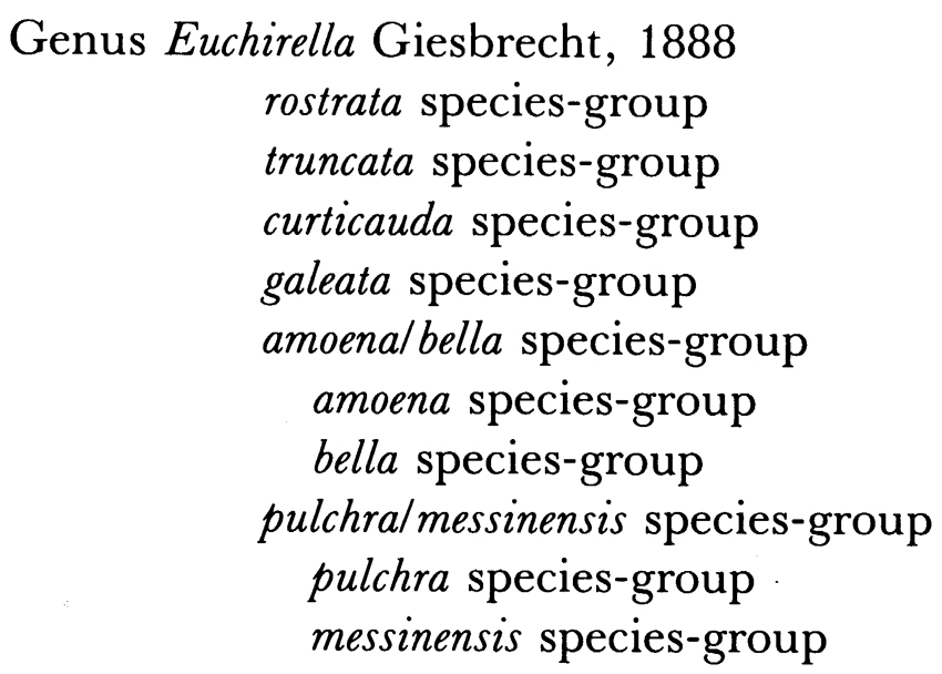 Genre Euchirella - Planche 1