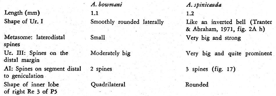 Espèce Acartia (Odontacartia) bowmani - Planche 5 de figures morphologiques