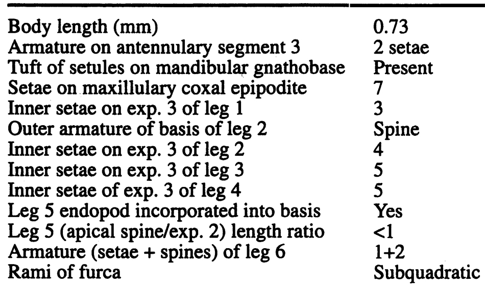 Espce Misophriopsis okinawensis - Planche 12 de figures morphologiques