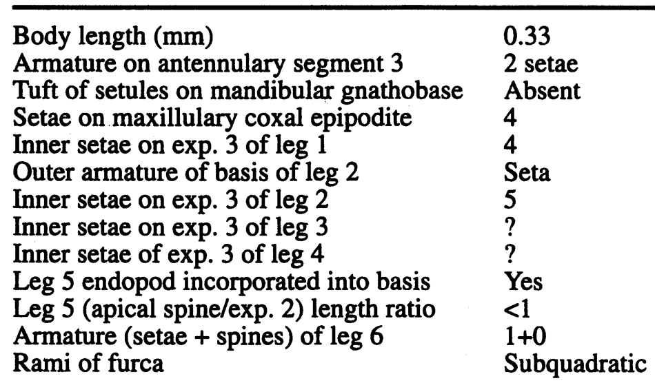 Espce Misophriopsis sinensis - Planche 3 de figures morphologiques