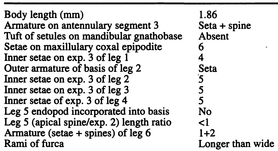 Espce Misophriopsis longicauda - Planche 7 de figures morphologiques