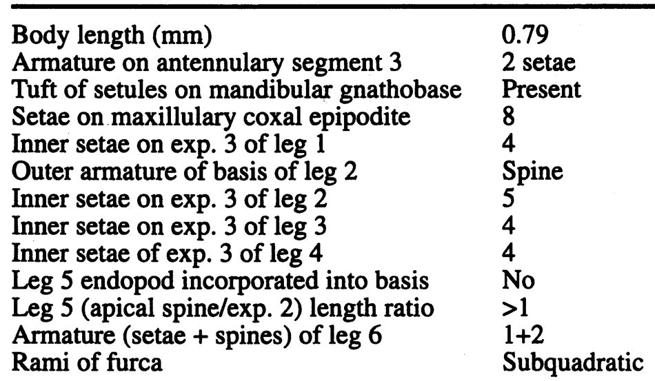 Espèce Misophriopsis australis - Planche 8 de figures morphologiques