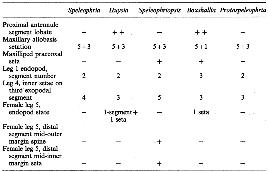 Family Speleophriidae - Plate 1