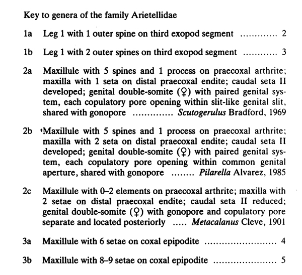 Famille Arietellidae - Planche 10