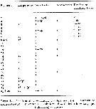 Espèce Euchirella messinensis - Planche 29 de figures morphologiques