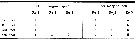 Espèce Oithona attenuata - Planche 19 de figures morphologiques