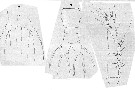Espèce Cymbasoma rostratum - Planche 2 de figures morphologiques