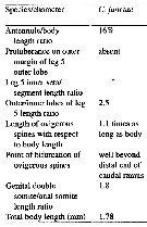 Espèce Cymbasoma janetae - Planche 7 de figures morphologiques