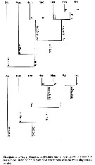 Famille Heterorhabdidae - Planche 20