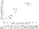 Espèce Calanoides natalis - Planche 11 de figures morphologiques