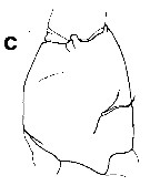 Species Gaetanus miles - Plate 18 of morphological figures