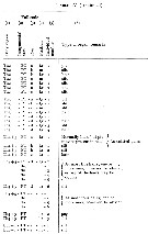 Espèce Euchirella messinensis - Planche 79 de figures morphologiques