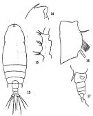 Species Gaetanus minor - Plate 6 of morphological figures