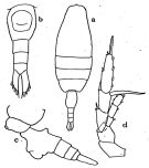 Species Heterorhabdus pustulifer - Plate of morphological figures