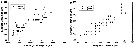 Espèce Eucalanus spinifer - Planche 9 de figures morphologiques