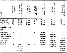 Espèce Bestiolina arabica - Planche 6 de figures morphologiques