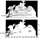 Schematic current systems and sampling stations in the subarctic Pacific Ocean and neighboring waters