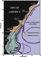 Schematic ocean circulation of the southwestern South Atlantic and continental shelf biogeographic provinces