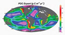 Global estimate of upper ocean (130 m) particulate organic carbon flux (redrawn from Schlitzer, 2000)