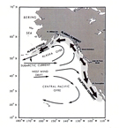Map of the NE Pacific (adapted from Ware and McFarlane, 1989) showing location of the shelf-slope-offshore transition region (shaded area) and annual-averaged large-scale current patterns (arrows)