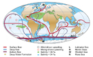 Strongly simplified sketch of the global overturning circulation system